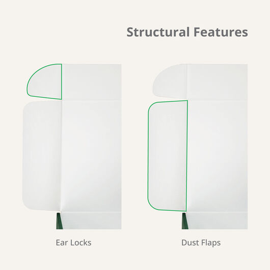 Mailer Box Ear Locks