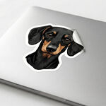 Reusable Stickers