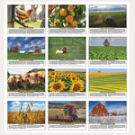 Landscapes