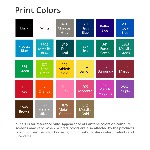 BIC® Pencil Solids Print Colors