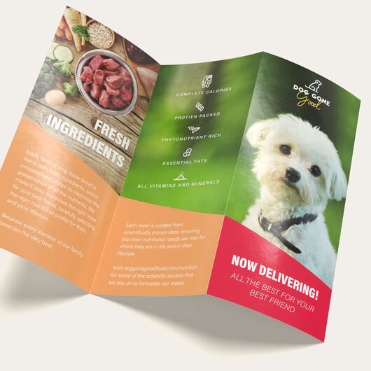 Brochure on sale printing services