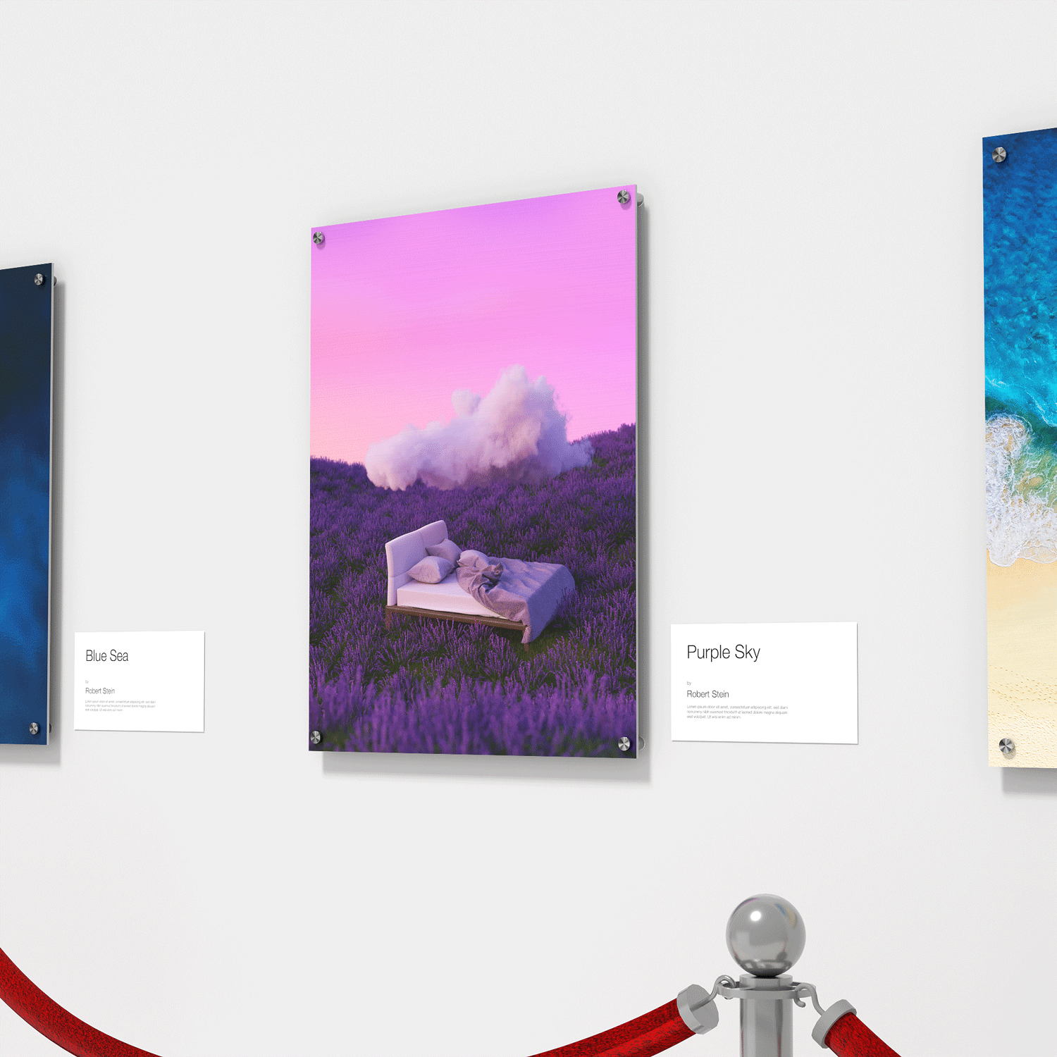 Aluminum Prints