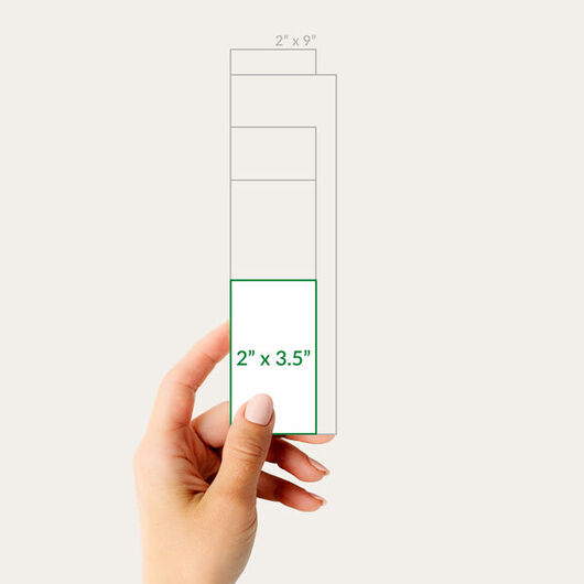 Size