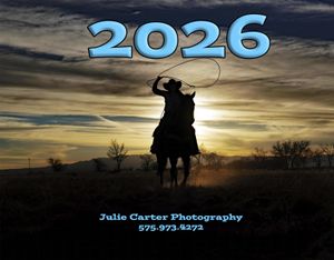 Annual customer happiness 