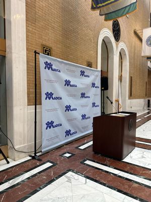 Great Product - Speedy Delivery