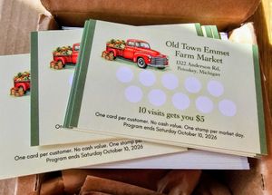 Best experience ever