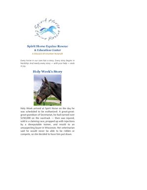 Beautiful Non Profit Brochure