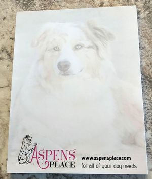 Custom Notepads were perfect..