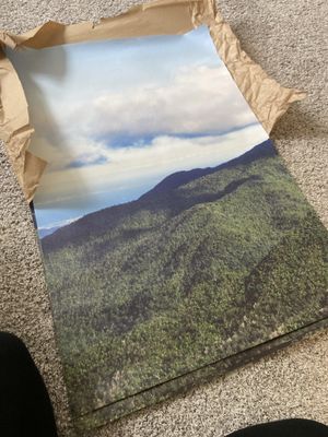 Great quality product!