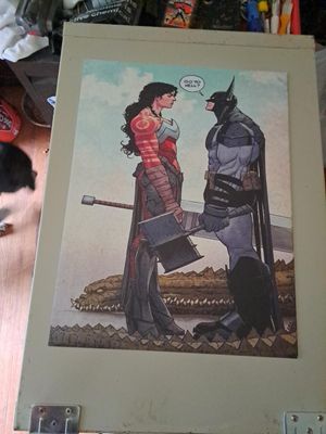 Custom magnet for Comic book storage 