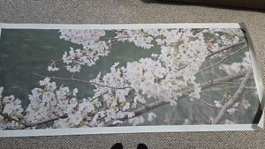 Rolled Canvas